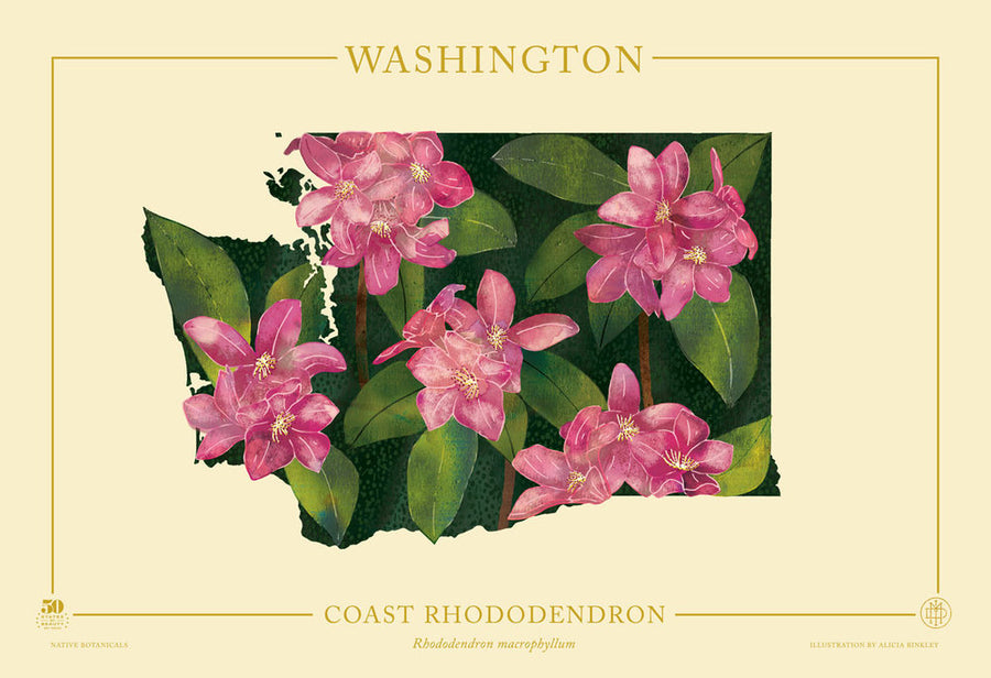 Washington Native Botanicals Print