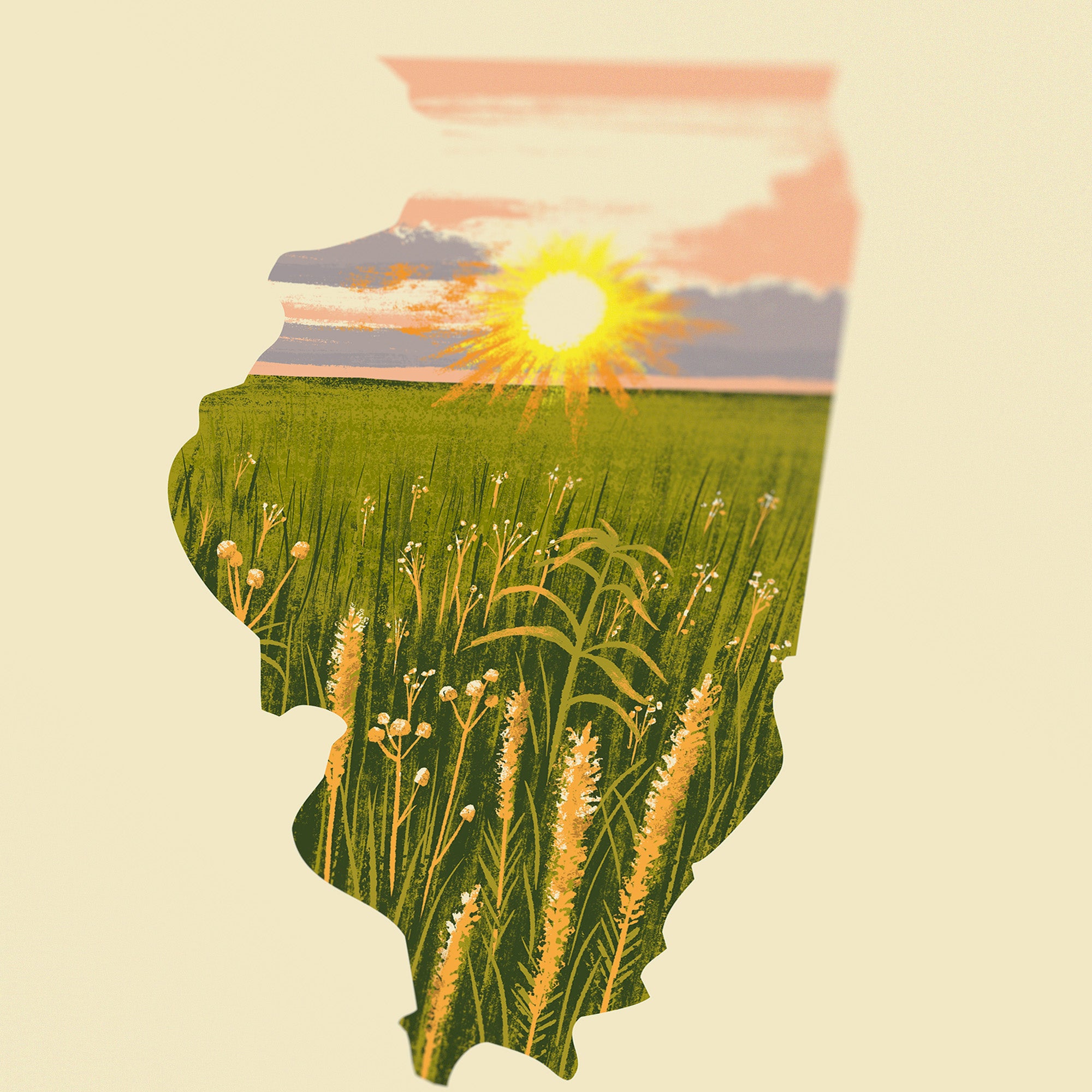 Illinois Print