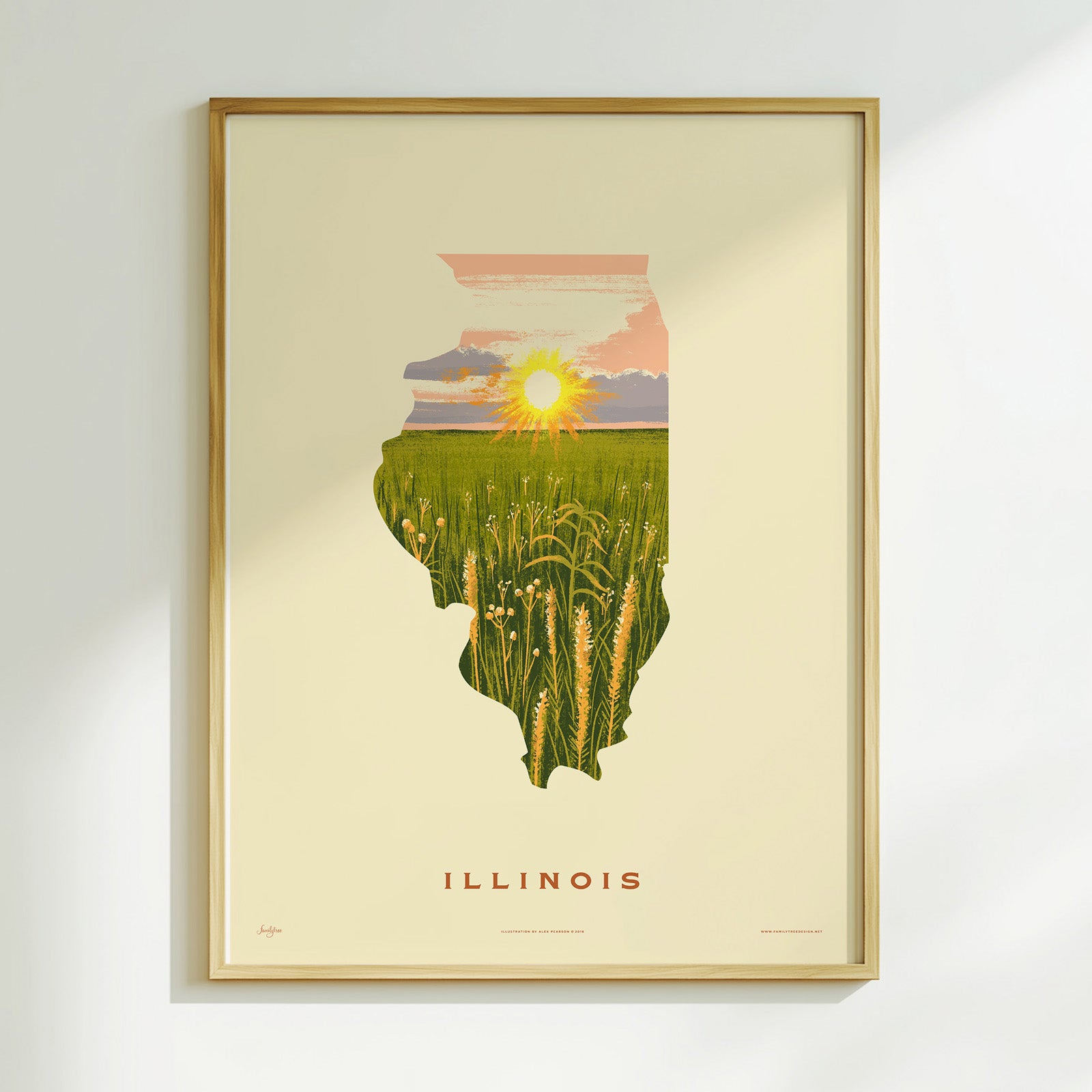 Illinois Print