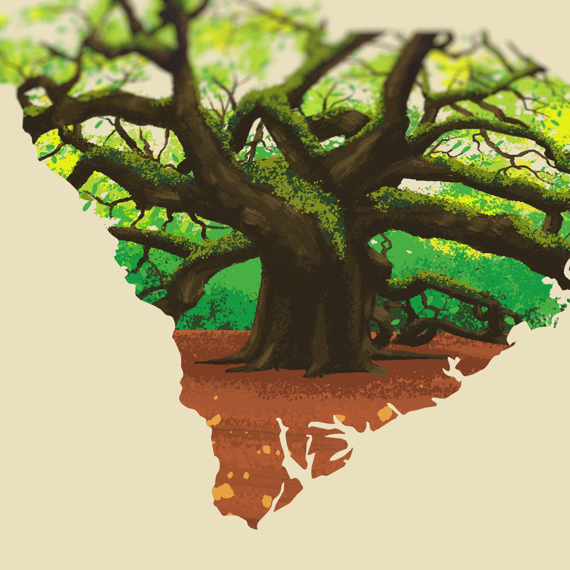 South Carolina Angel Oak Print