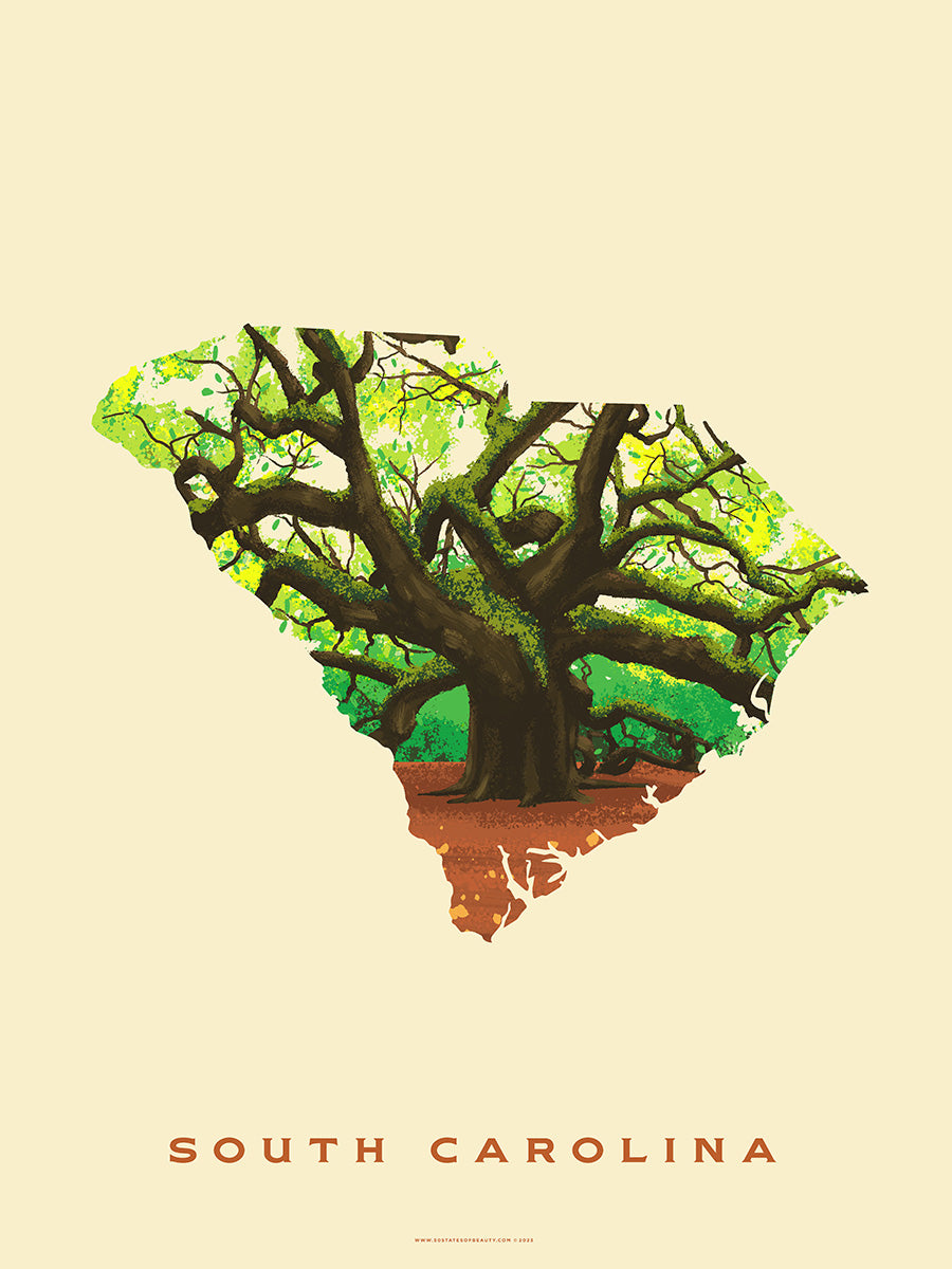 South Carolina Angel Oak Print