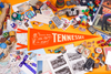 Tennessee State Pennant