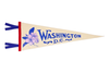 Washington D.C. Pennant