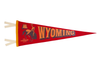 Wyoming State Pennant