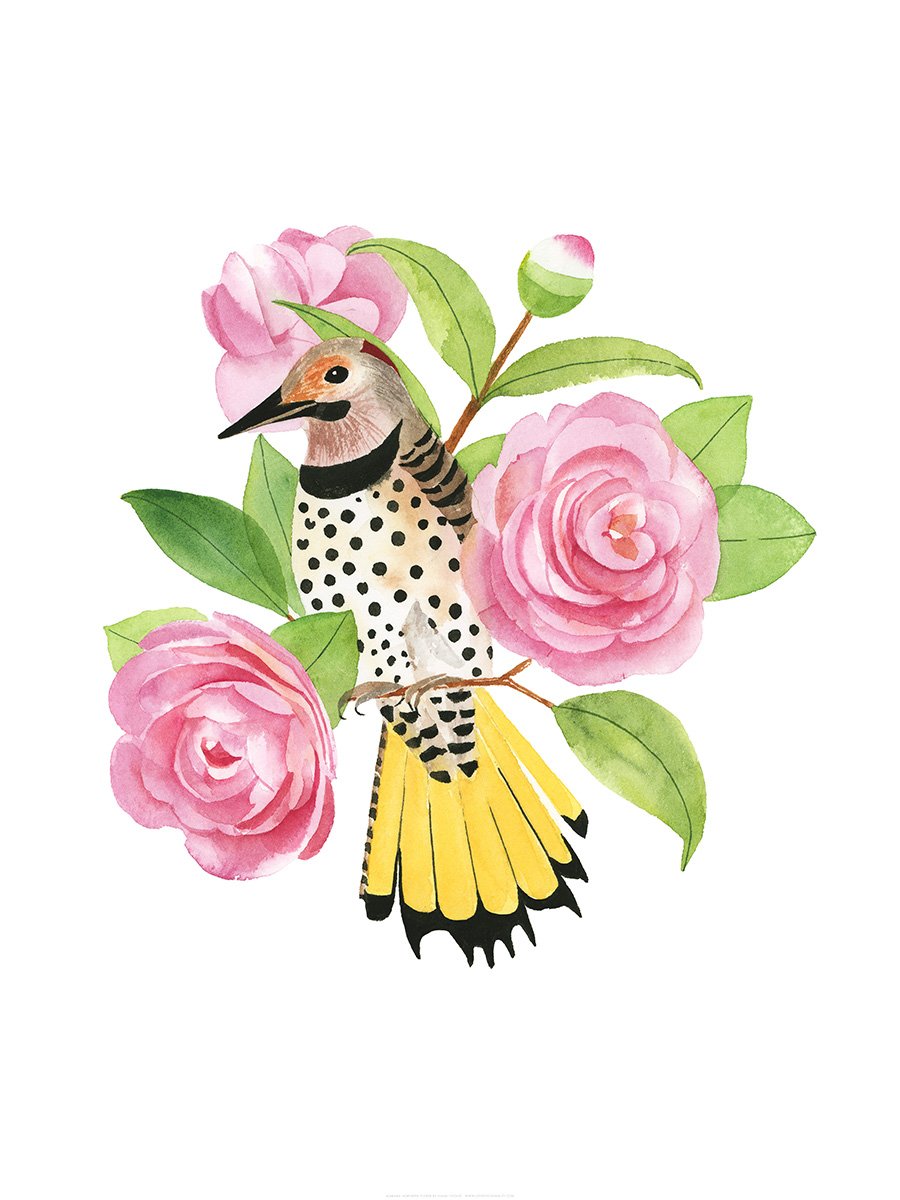 Alabama Northern Flicker Print