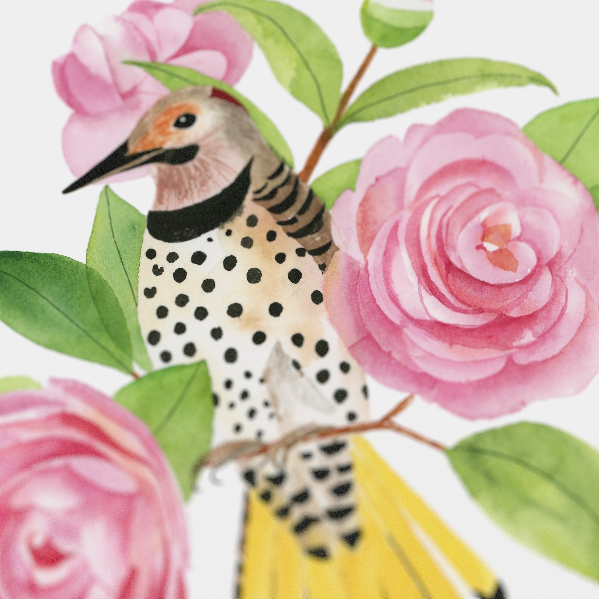 Alabama Northern Flicker Print