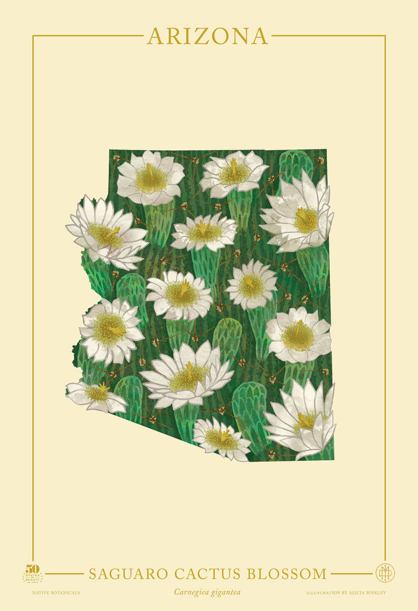 Arizona Native Botanicals Print