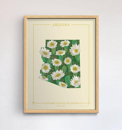 Arizona Native Botanicals Print