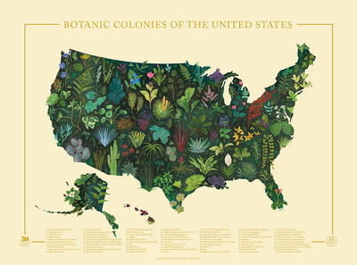 Botanic Colonies of the US Print