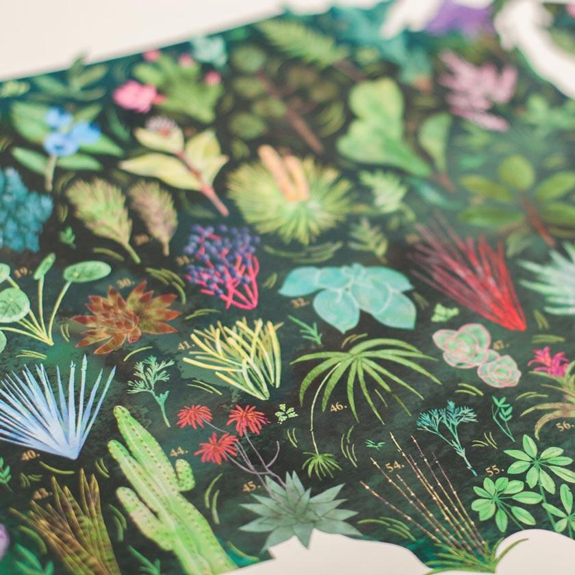 Botanic Colonies of the US Print