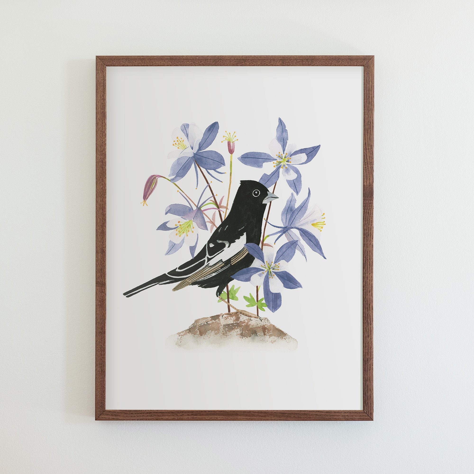 Colorado Lark Bunting Print