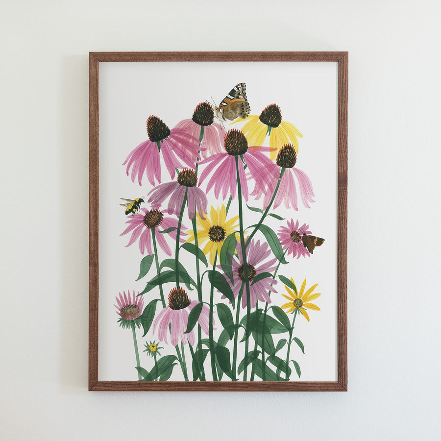 Coneflowers Print