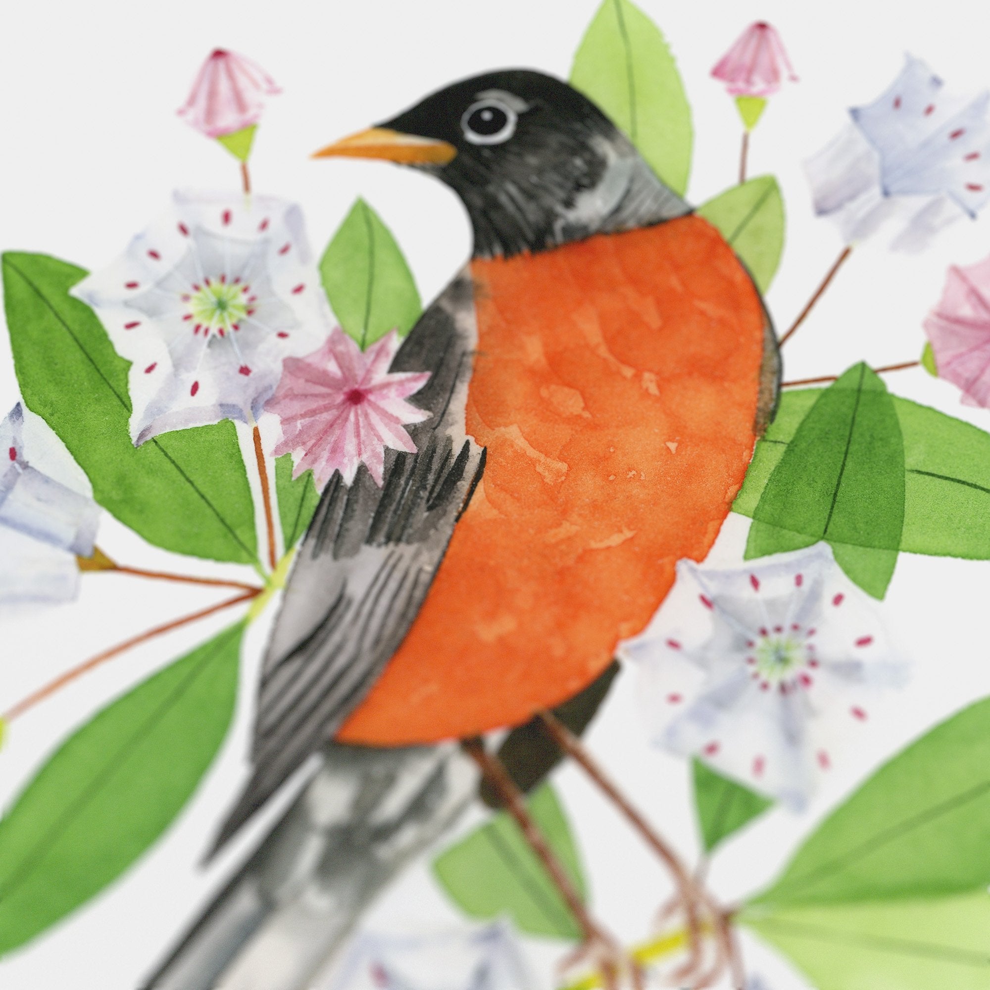 Connecticut American Robin Print
