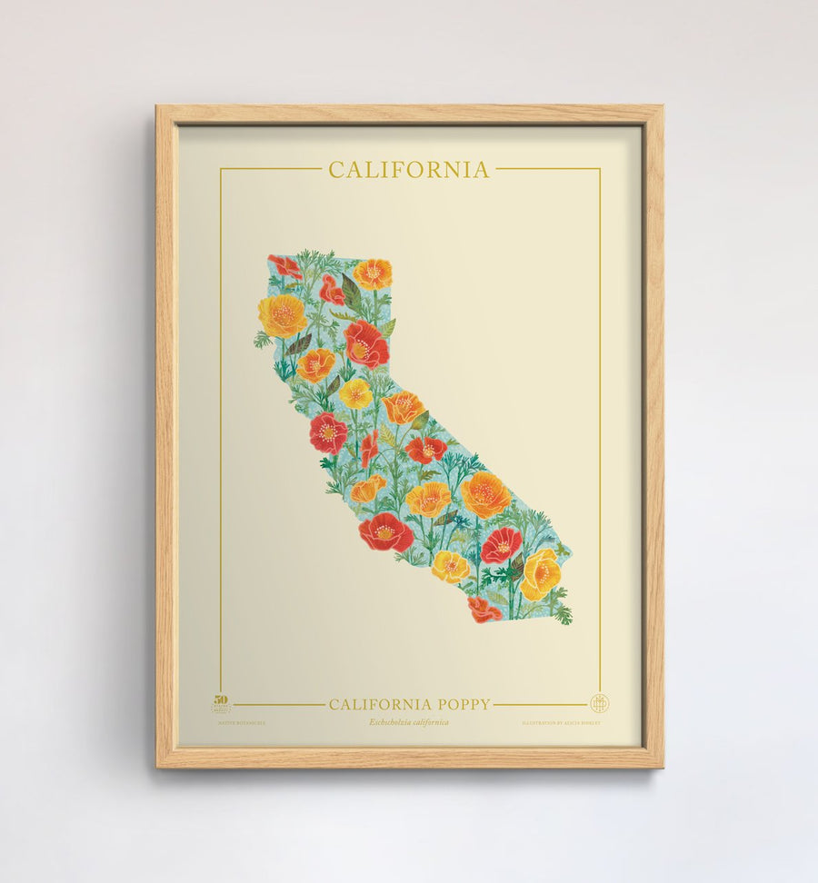 California Native Botanicals Print