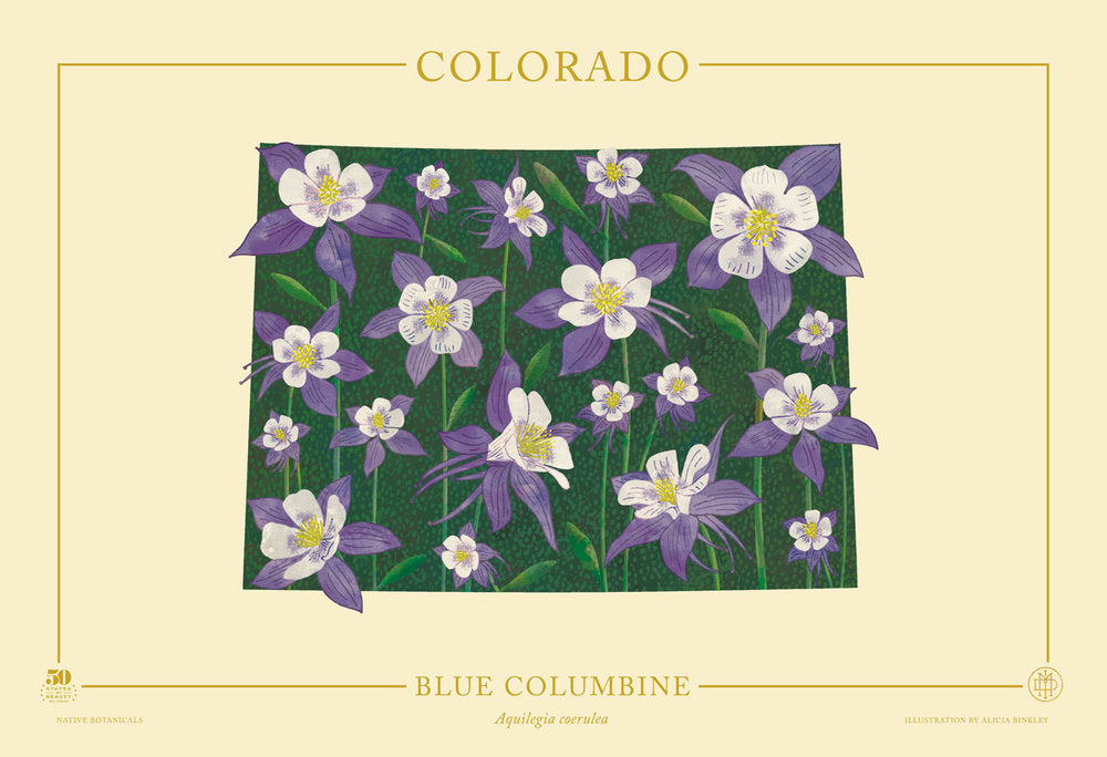 Colorado Native Botanicals Print