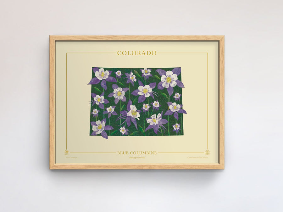 Colorado Native Botanicals Print