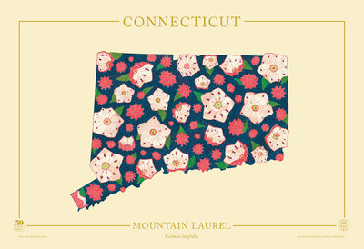 Connecticut Native Botanicals Print