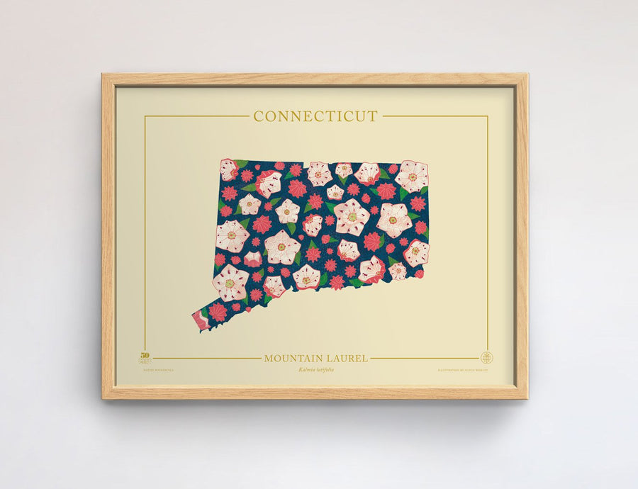 Connecticut Native Botanicals Print