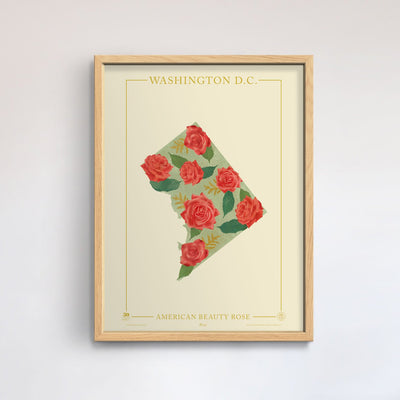 Washington D.C. Native Botanicals Print