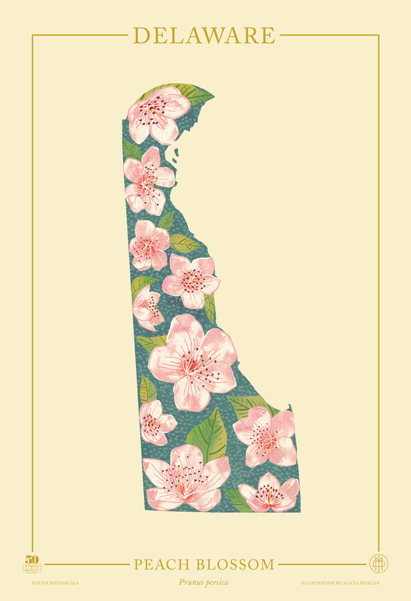 Delaware Native Botanicals Print