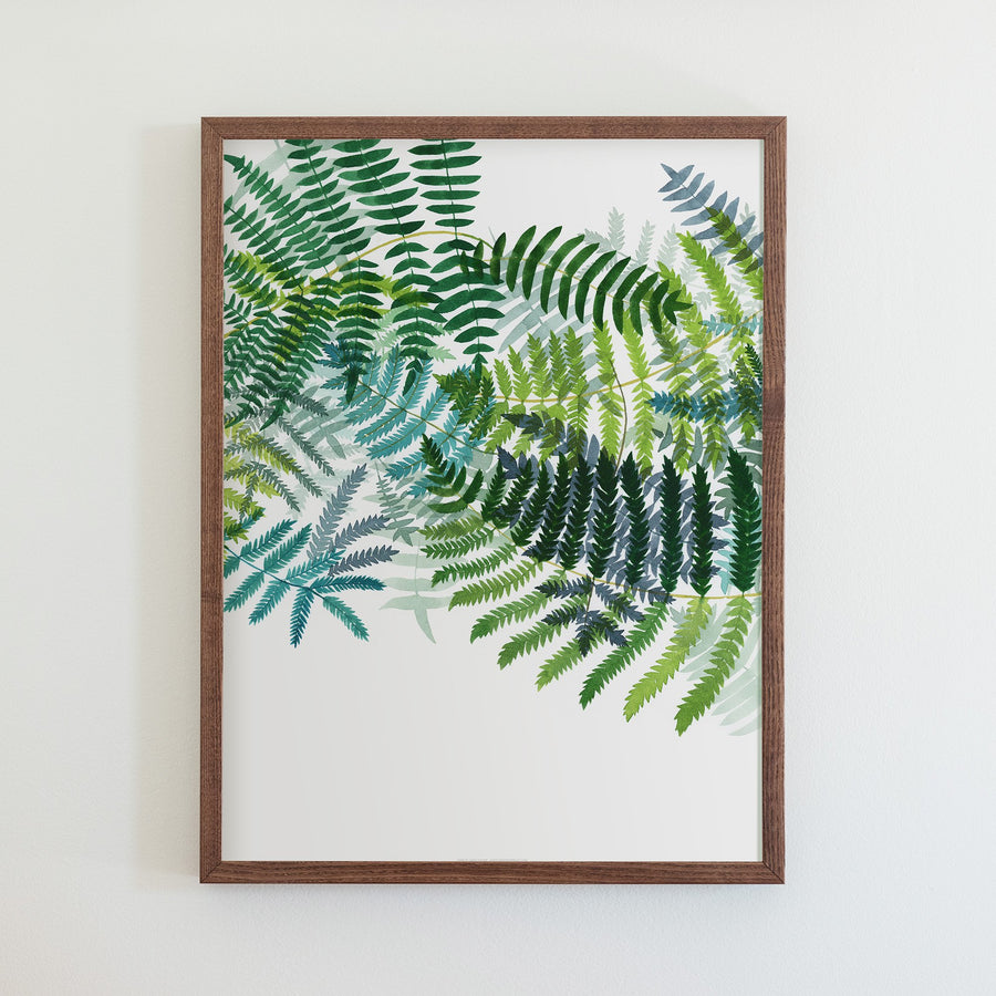 Ferns Print
