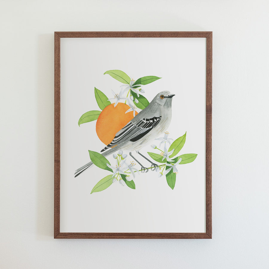 Florida Northern Mockingbird Print