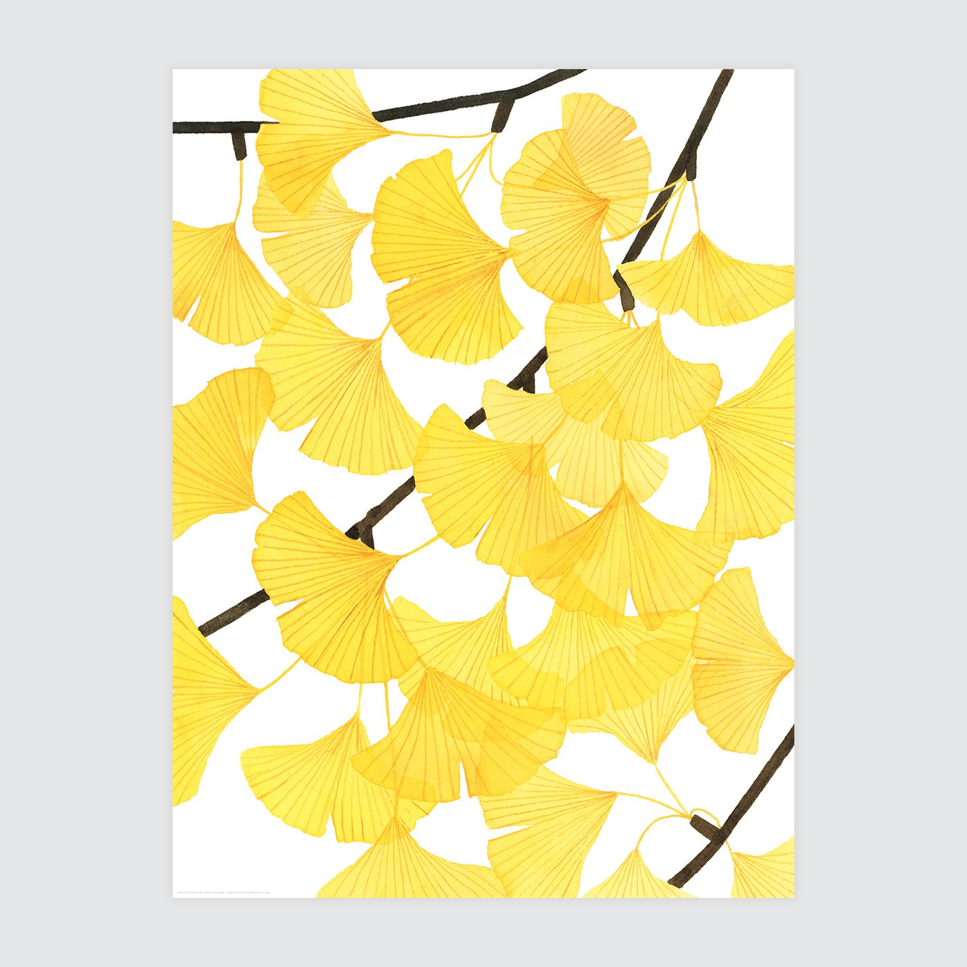 Ginkgo Leaves Print