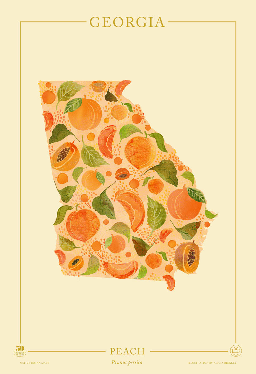 Georgia Native Botanicals Print