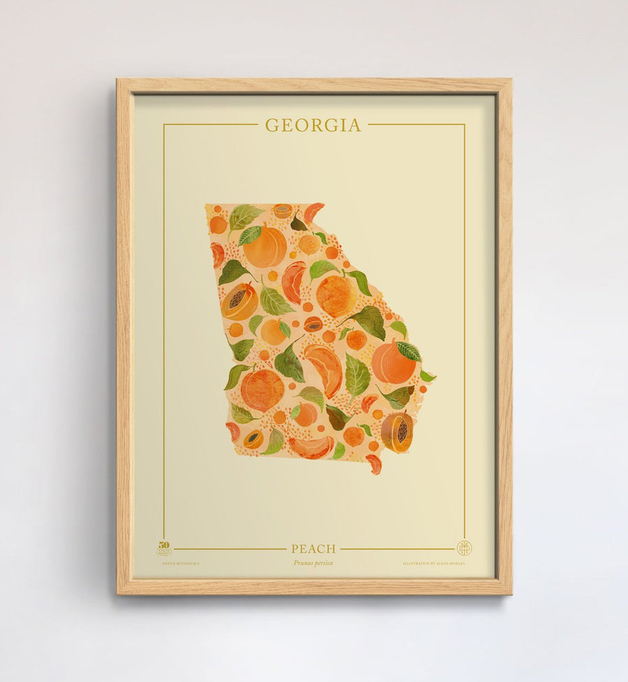 Georgia Native Botanicals Print