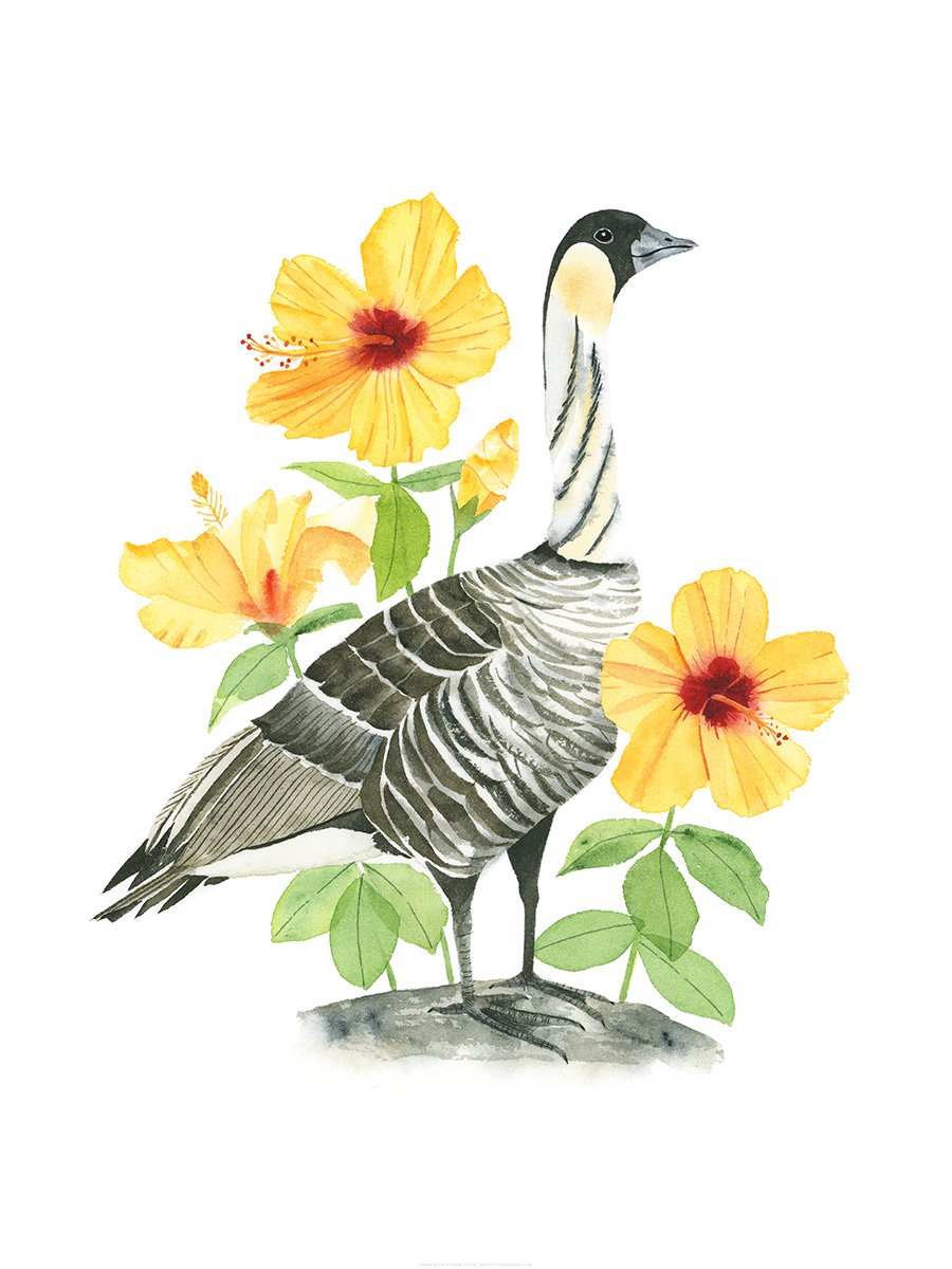 Hawaii Nene Print