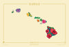 Hawaii Native Botanicals Print