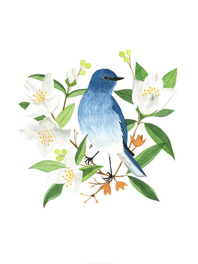 Idaho Mountain Bluebird Print