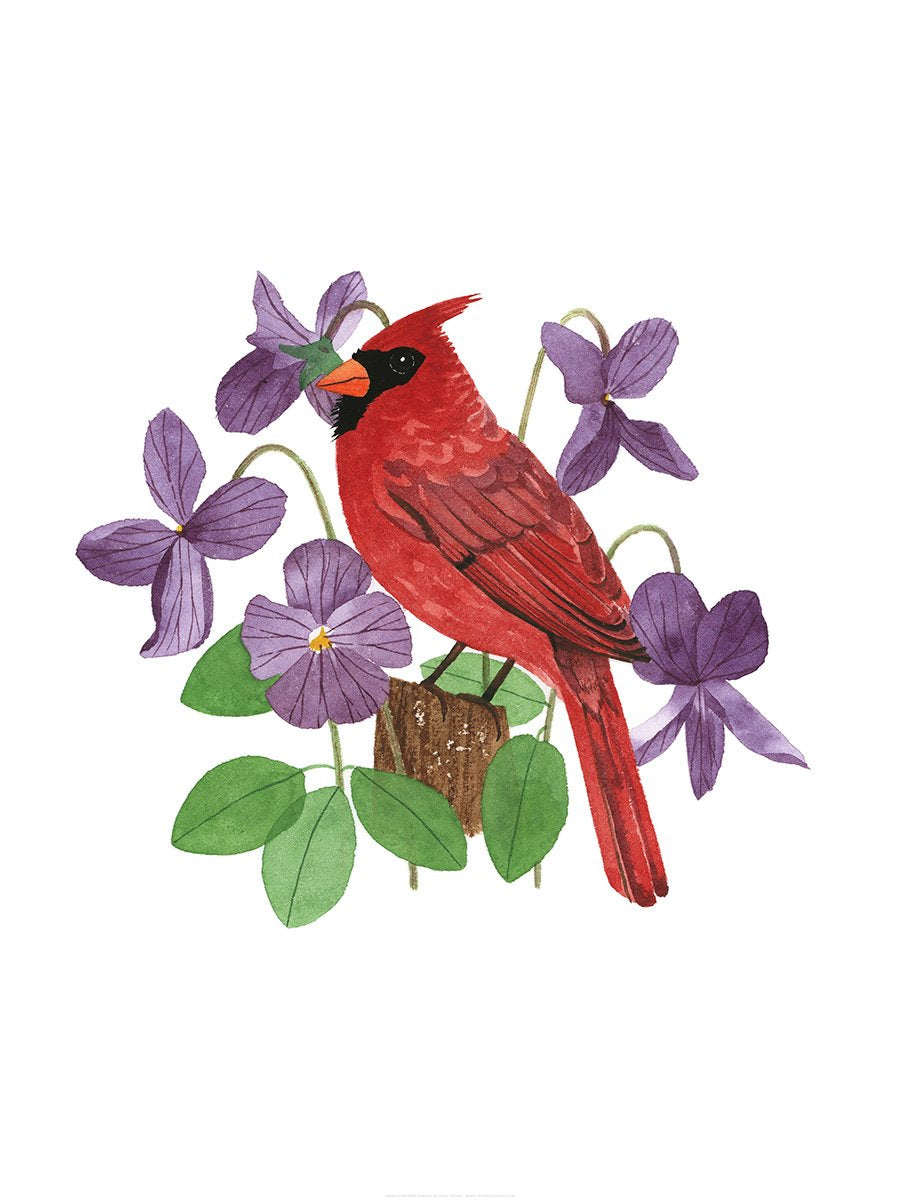 Illinois Northern Cardinal Print