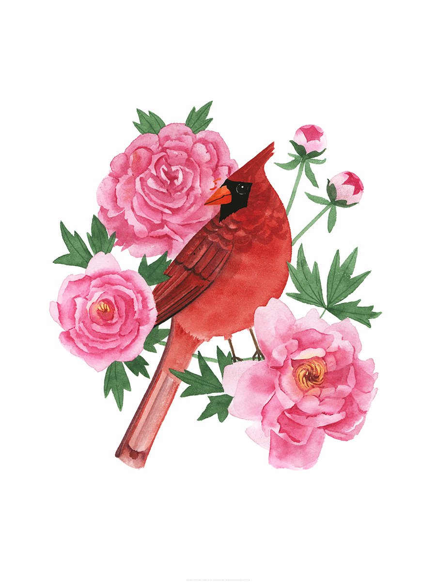 Indiana Northern Cardinal Print