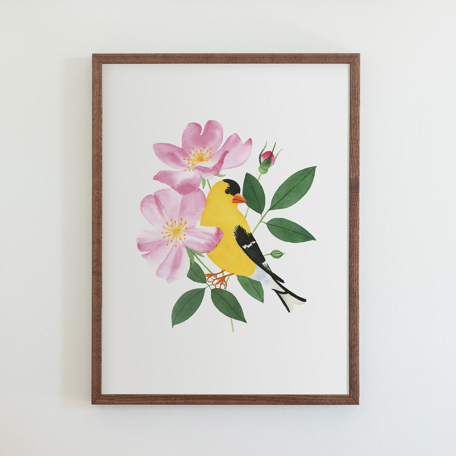 Iowa Eastern Goldfinch  Print