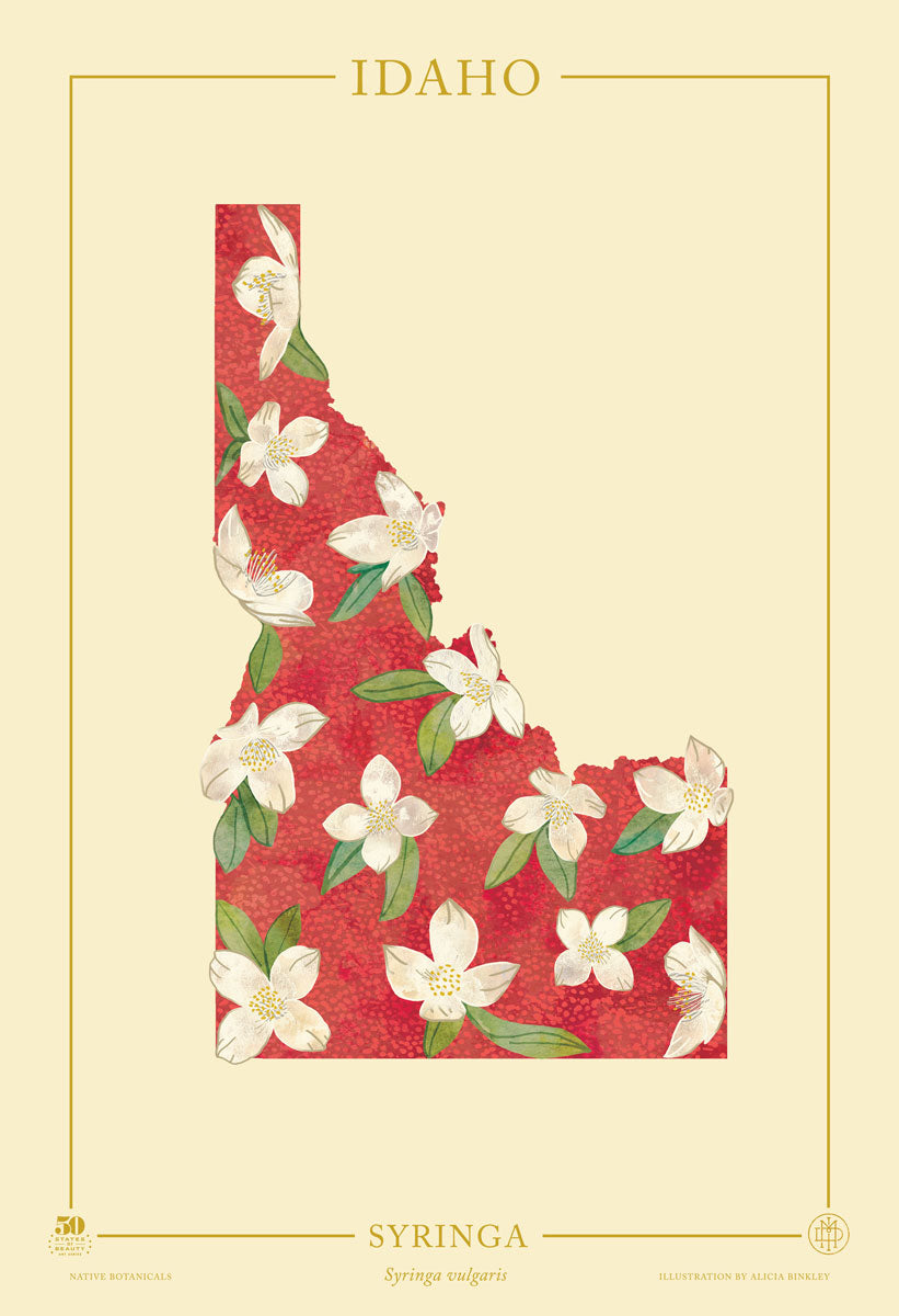 Idaho Native Botanicals Print