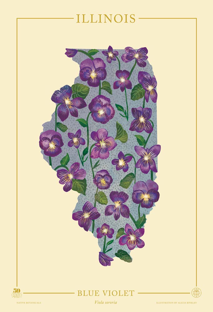 Illinois Native Botanicals Print