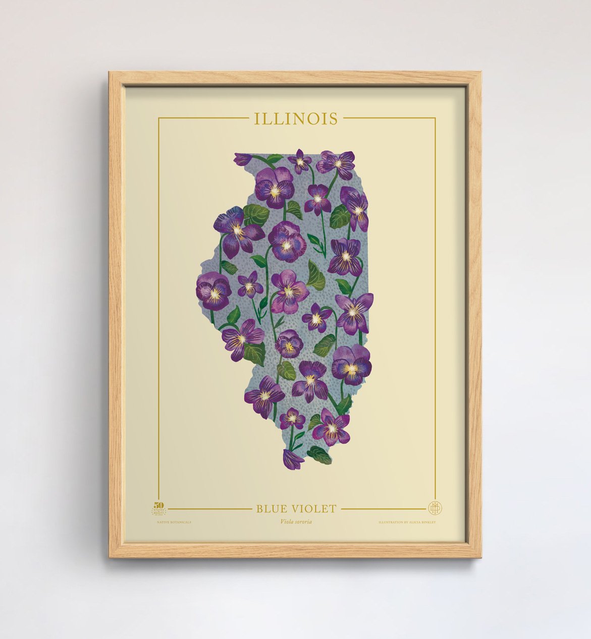 Illinois Native Botanicals Print - 50 States Of Beauty