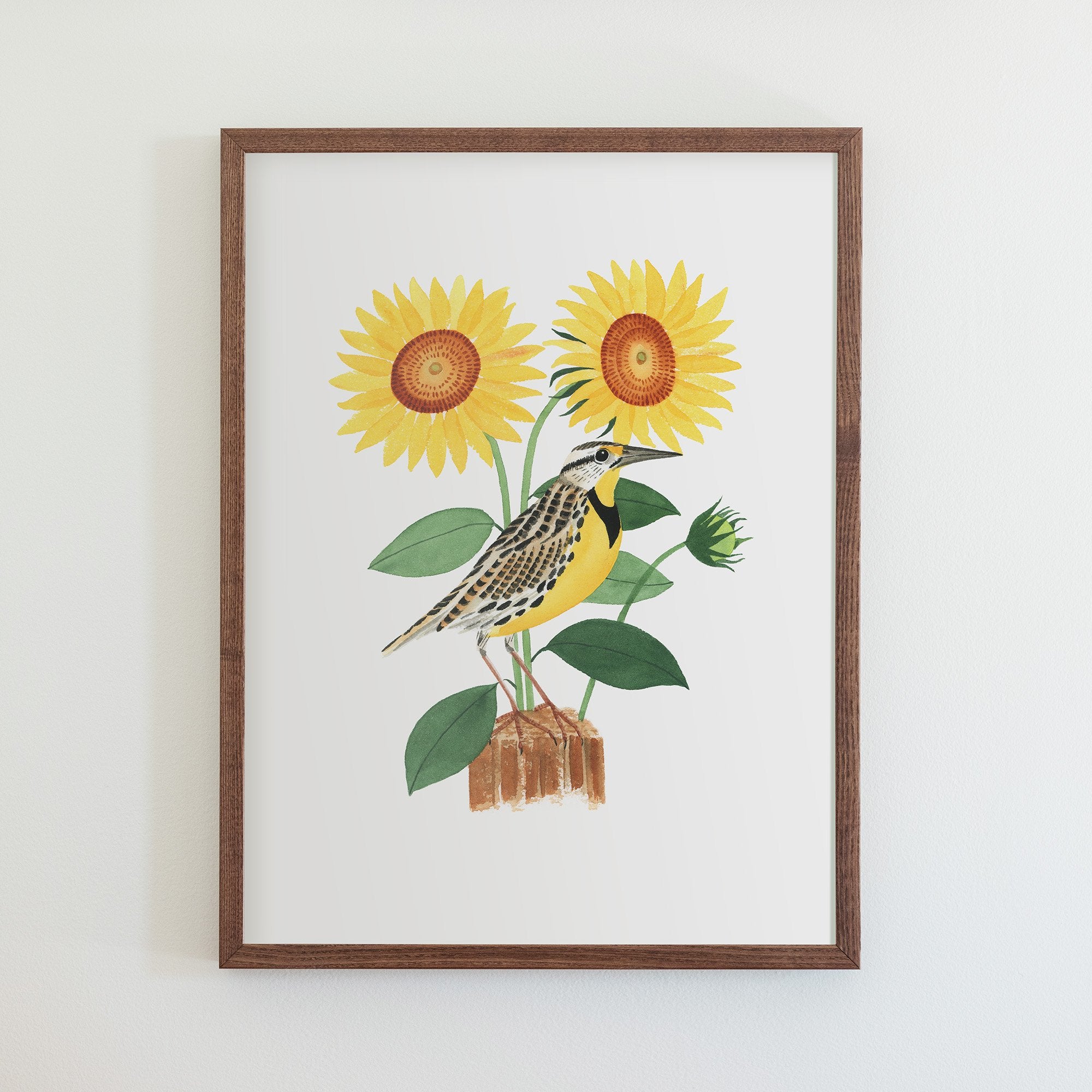 Kansas Western Meadowlark Print