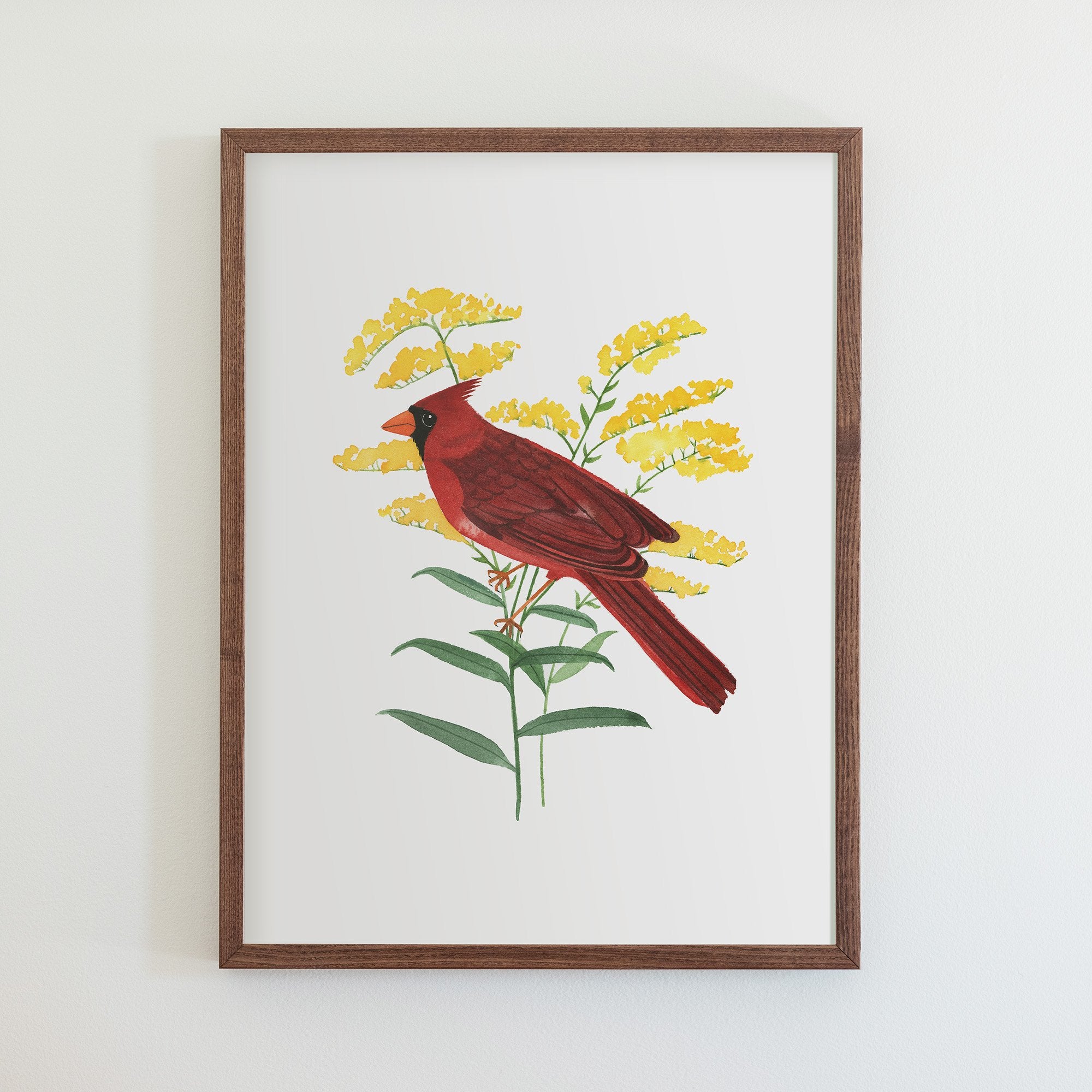 Kentucky Northern Cardinal Print