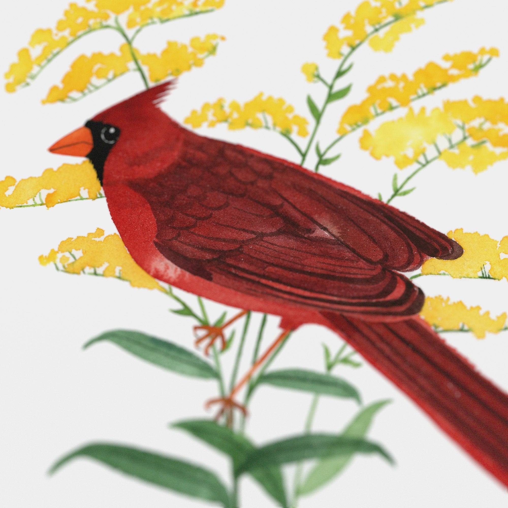 Kentucky Northern Cardinal Print