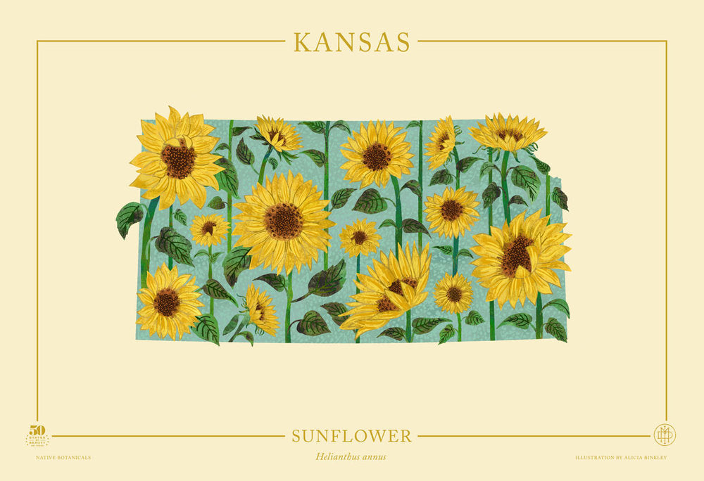 Kansas Native Botanicals Print