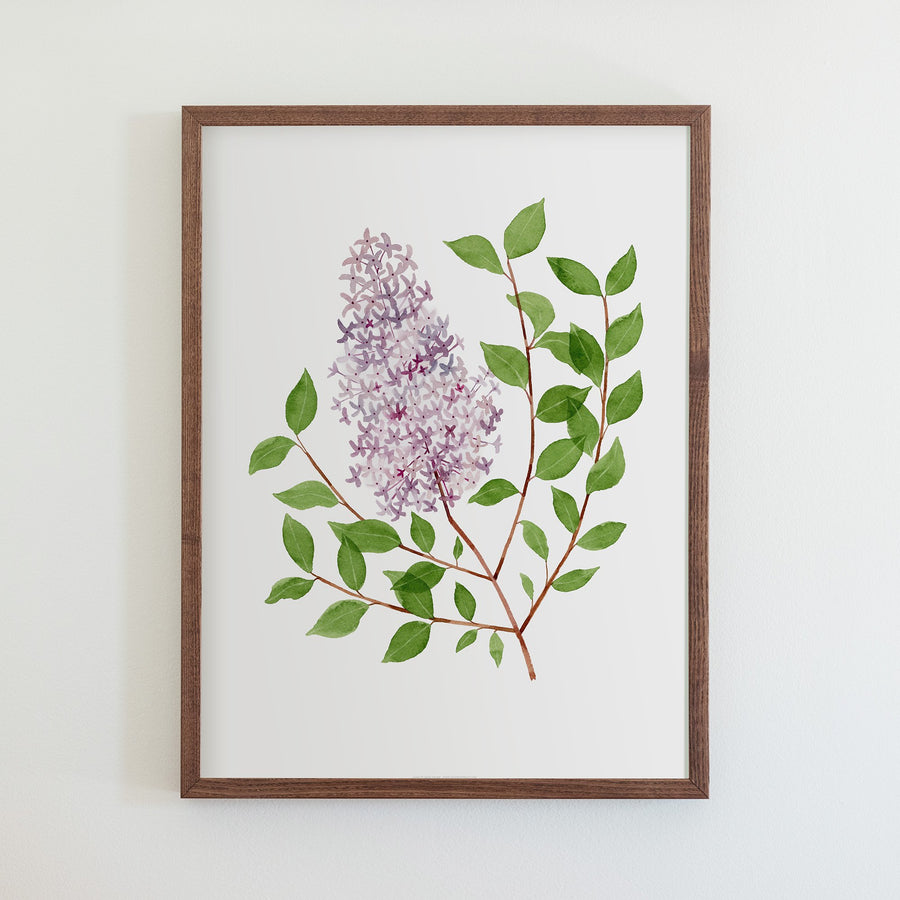 Lilacs Print