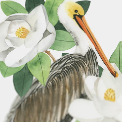 Louisiana Brown Pelican Print
