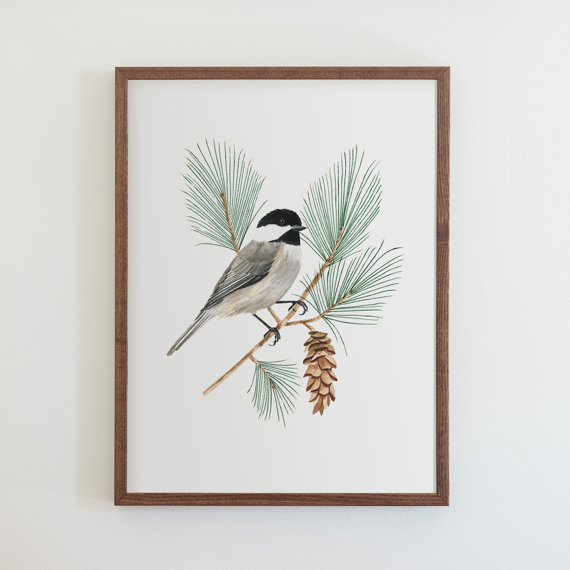 Maine Black-Capped Chickadee Print