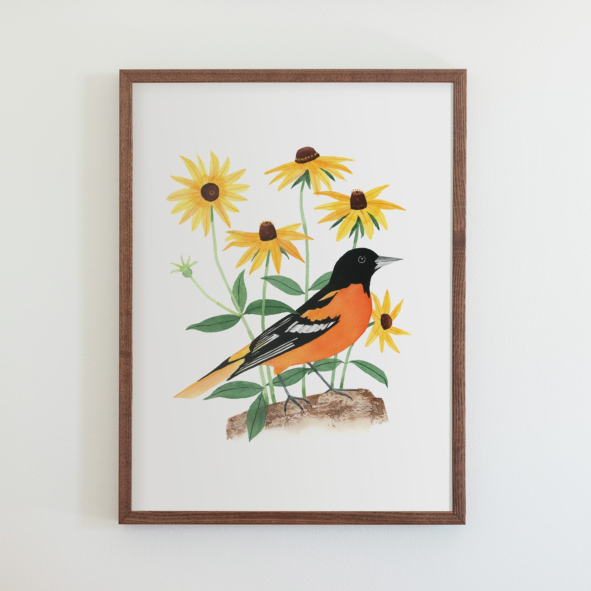  Vintage Oriole bird common in Baltimore Maryland