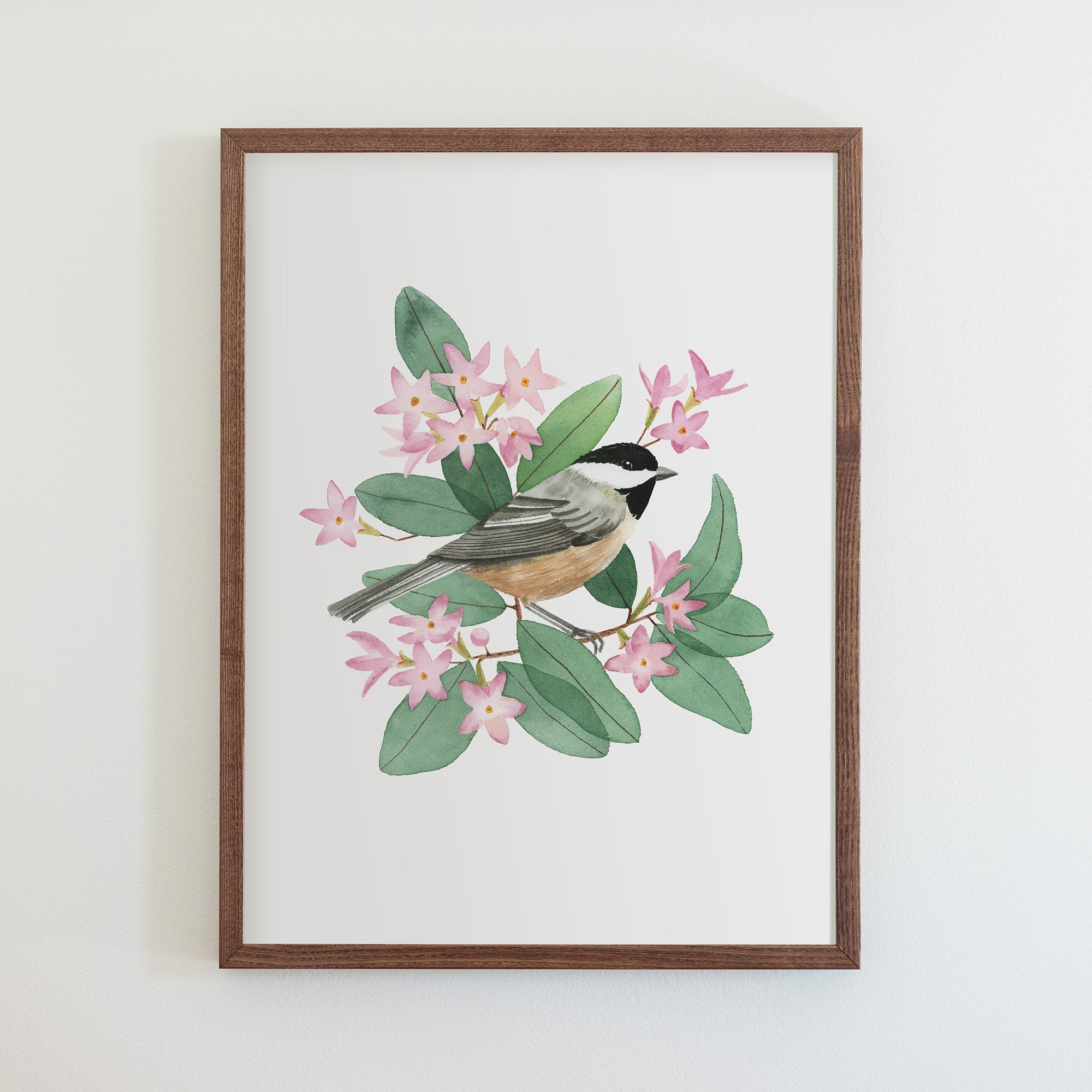 Massachusetts Black-Capped Chickadee Print