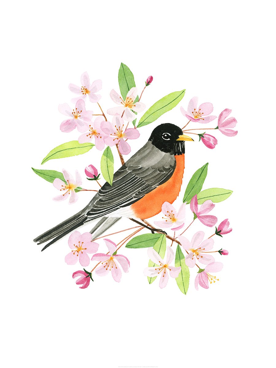 Michigan American Robin Print