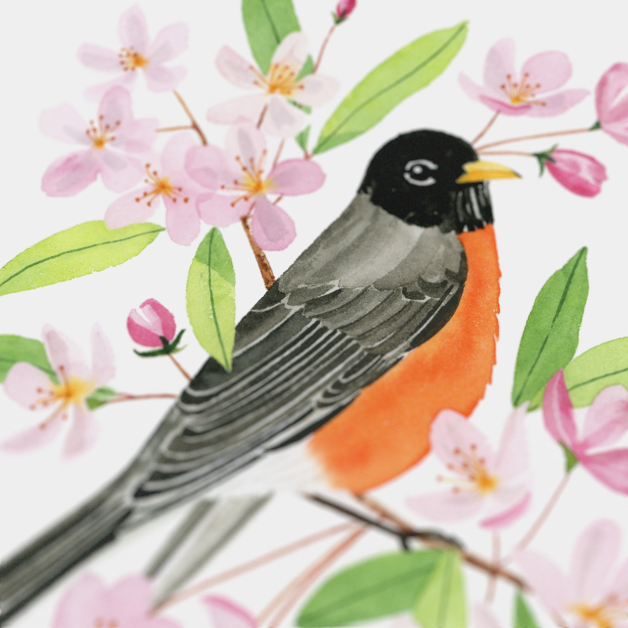 Michigan American Robin Print