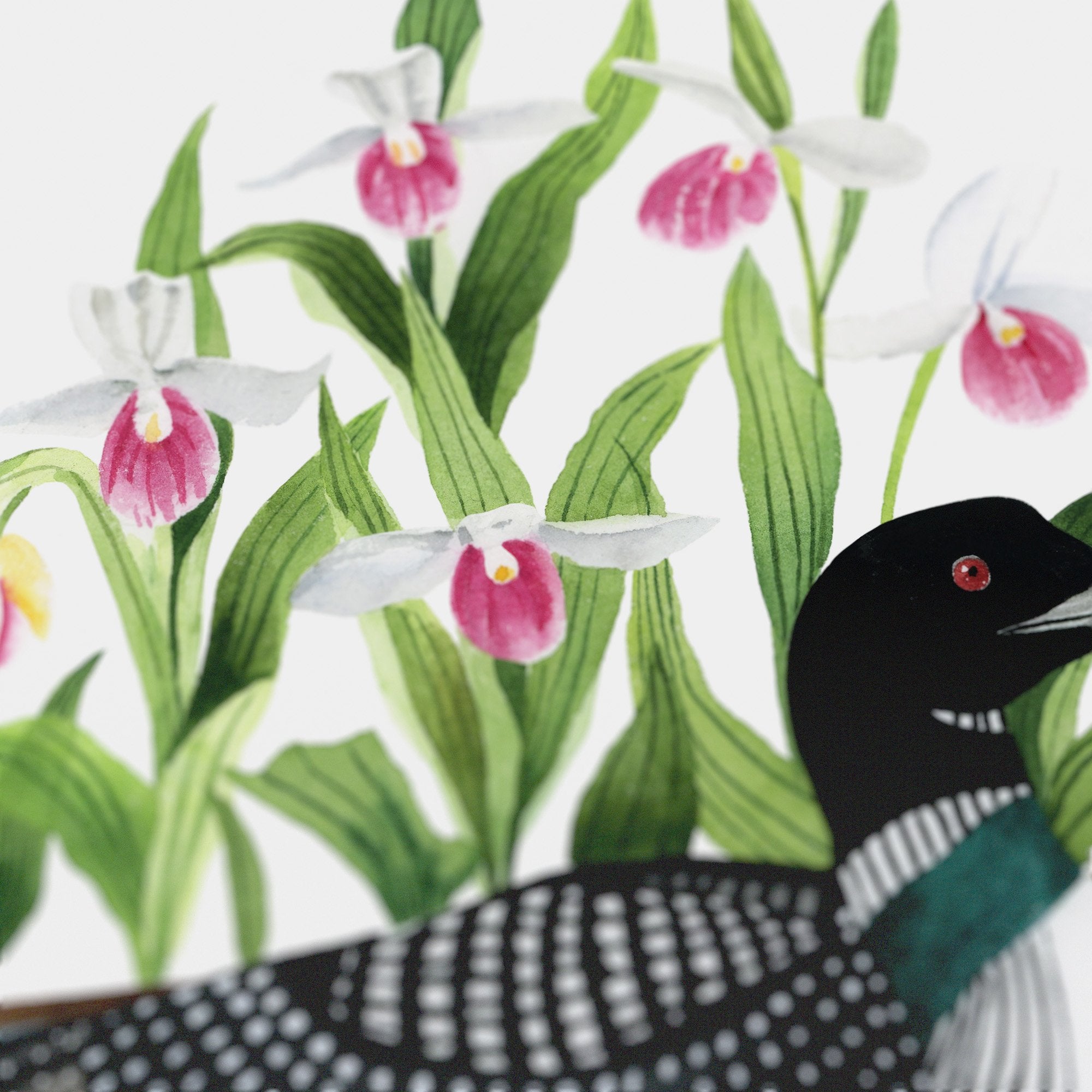 Minnesota Common Loon Print